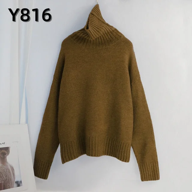 Y816-Ginger