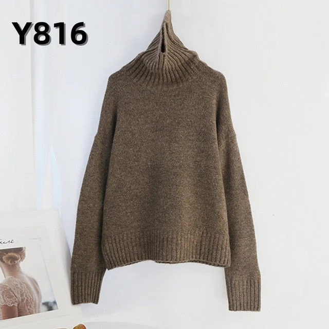 Y816-Light Brown